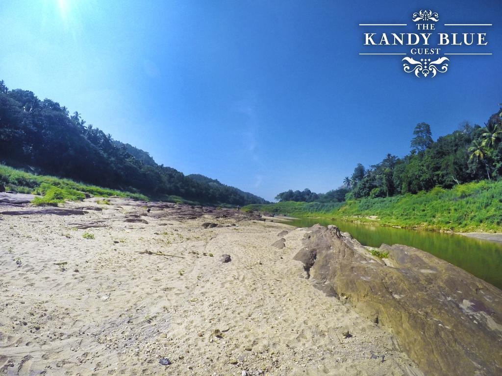 Kandy Blue Bagian luar foto